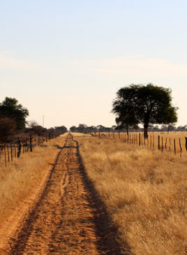 Africa Mosaic Safaris Farm Stays